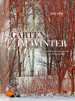 cover image of Gärten im Winter
